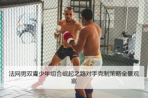 fa-wang-nan-shuang-qing-shao-nian-zu-he-jue-qi-zhi-lu-dui-shou-ke-zhi-ce-lve-quan-jing-guan-cha-2-503.jpg